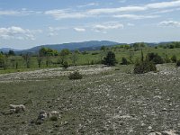 F, Lozere, Le Pompidou, l' Hospitalet 7, Saxifraga-Willem van Kruijsbergen